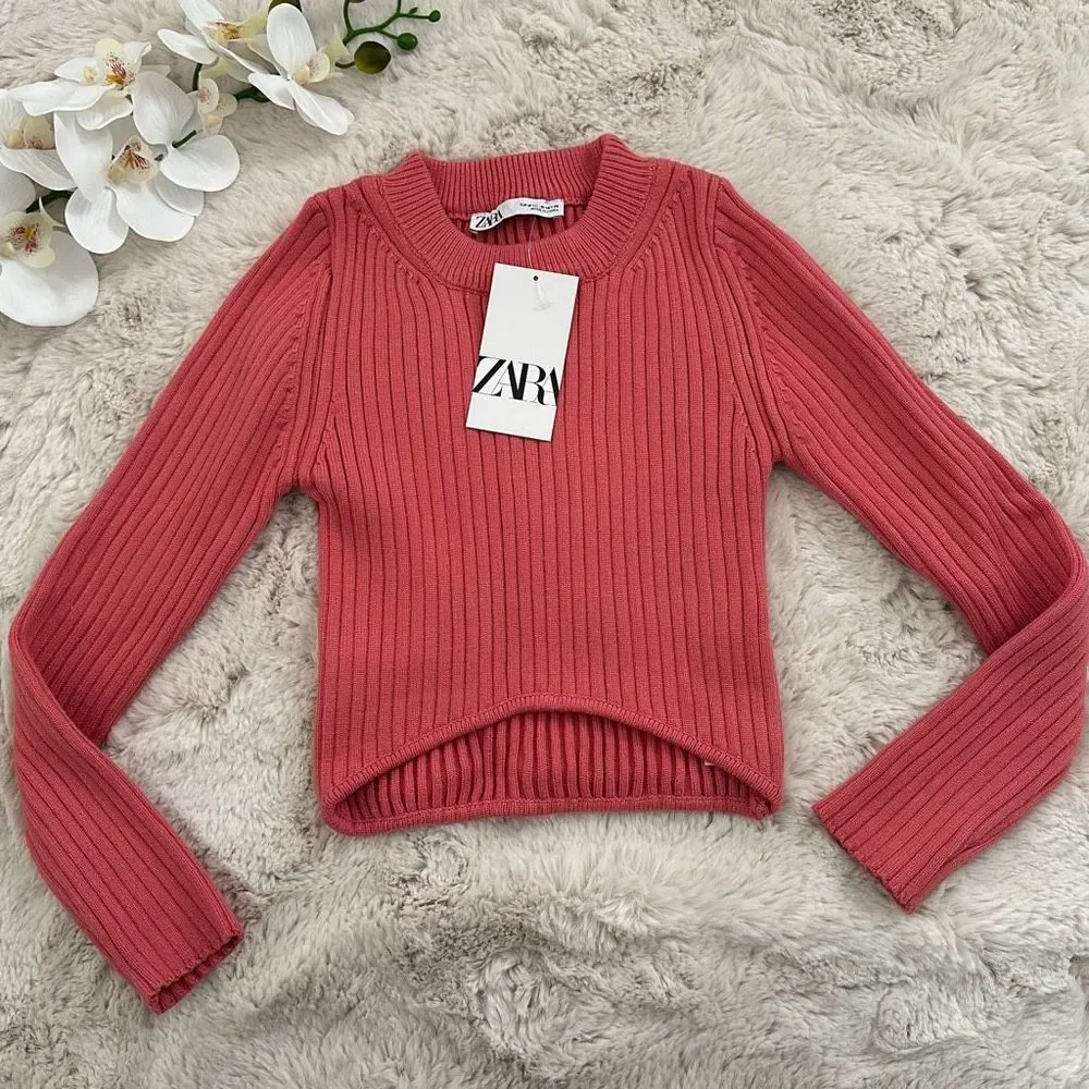 Zara Knit Sweater Cropped Top Pink Size M
